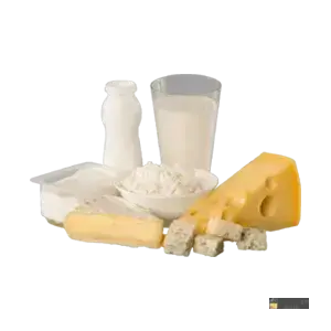 icon Dairy & Grocery