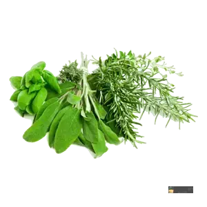 icon Herbs