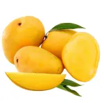 Alphonso Mango