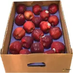 Apple Red Box USA
