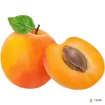 Apricot