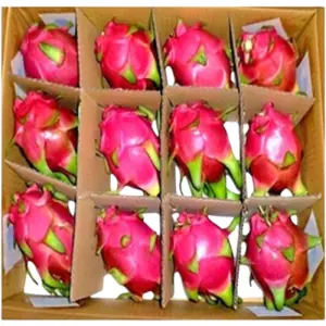 Dragon Fruit Red Box