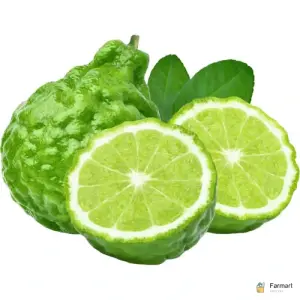 Kaffir Lime