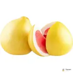 Pomelo Red