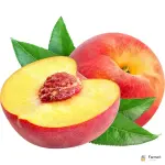 Nectarine