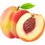 Nectarine
