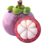 Mangosteen Indonesia