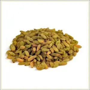 Raisin Green
