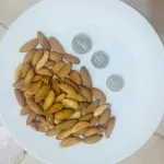 Mamra Almond AFGHANISTAN