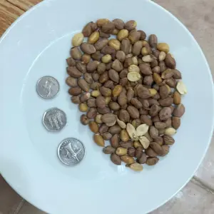 Organic Peanut India