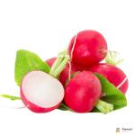 Baby Radish