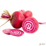 Beetroot Chioggia