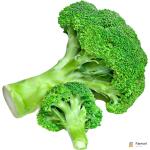 Broccoli Sanitized