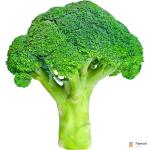 Broccoli Sanitized