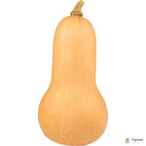 Butternut Pumpkin