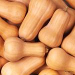 Butternut Pumpkin