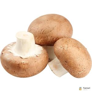 Button Mushroom Brown