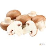 Button Mushroom Brown