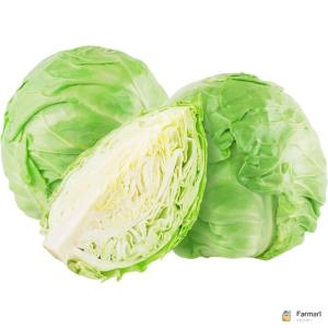 Cabbage White