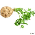 Celery Root