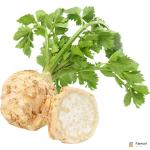 Celery Root