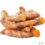 Fresh Turmeric