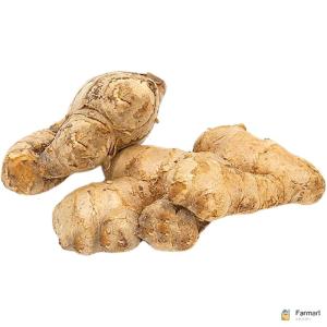 Ginger India