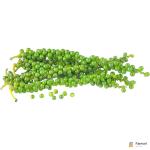 Green Pepper Corn Thailand
