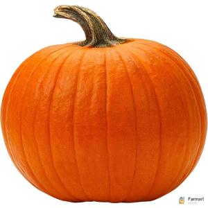Halloween Pumpkin