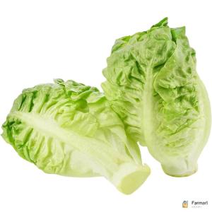 Lettuce Gem