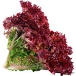 Lettuce Lollo Rosso
