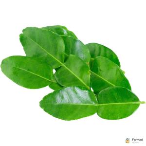 Lime Leaves