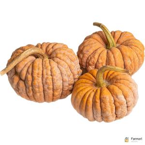 Mini Asian Heirloom Pumpkin