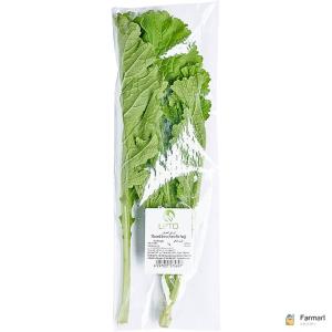 Mustard Leaves (Sarso Ka Saag)