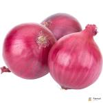 Onion Red