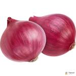 Onion Red
