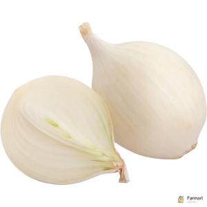 Onion White