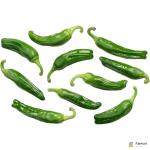 Padron Peppers