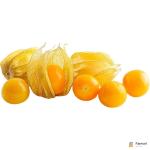 Physalis Gooseberries