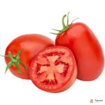 Plum Tomatoes