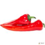 Ramiro Chilli