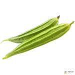 Ridge Gourd India