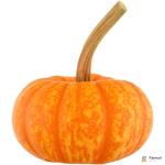 Sparkler Pumpkin Halloween