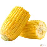 Sweet Corn