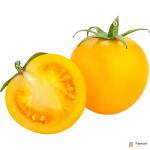 Tomato Cherry Yellow