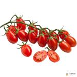 Tomato Datterino