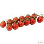 Tomato Datterino