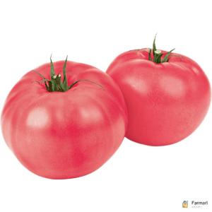 Tomato Uzbek