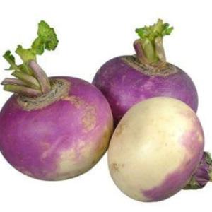 Turnip