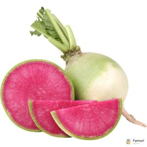 Watermelon Radish